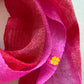 Lucky Dip (Pink/Red)
